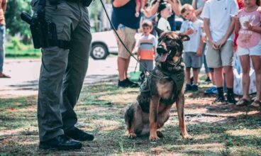 Know Your Rights: Cops, Drugs and Dogs in NSW
